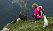 66 Cima di Monte Vetro (2054 m) con caprone orobico